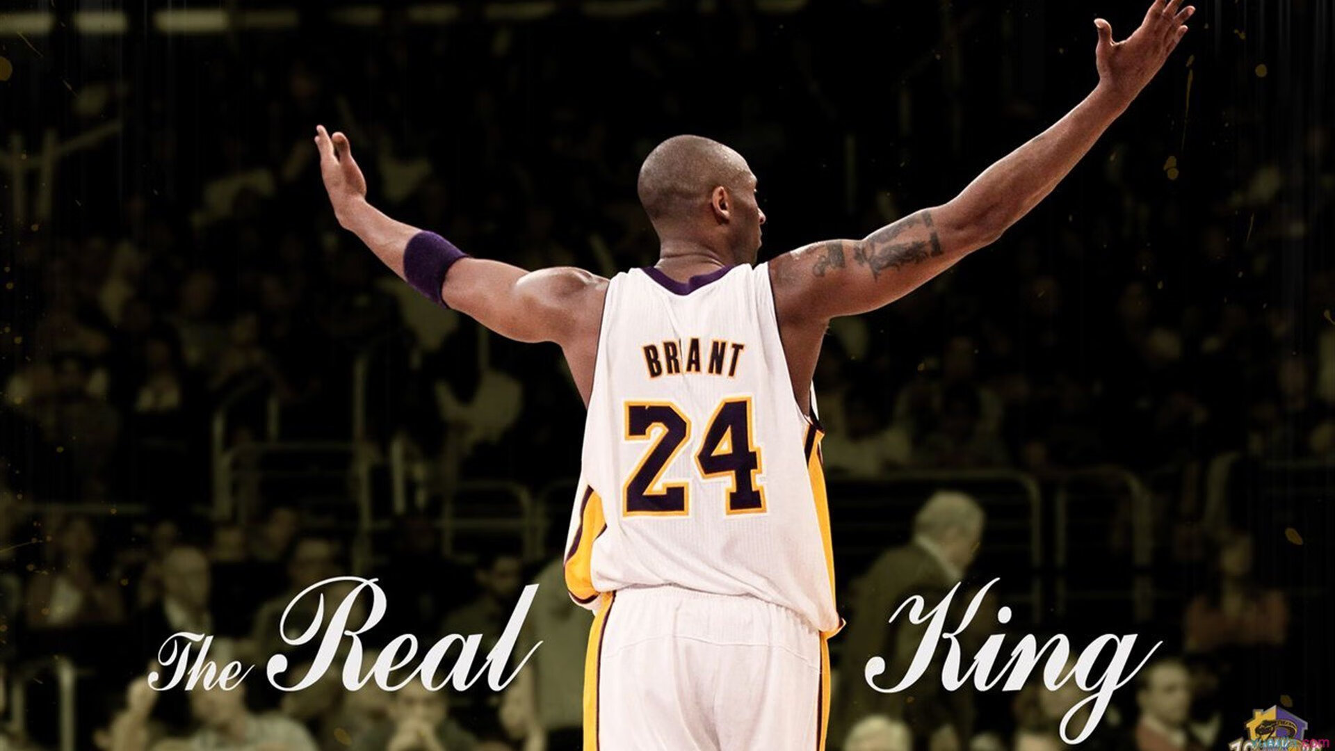 _湖人队全面开花，逐渐走出低迷_，湖人队出场